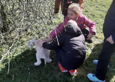 Ballyhack National School