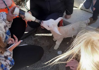 Ballyhack National School