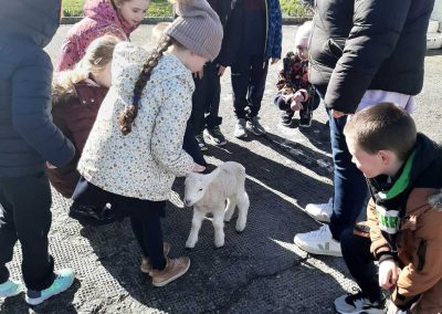 Ballyhack National School